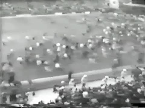 Birmingham Zulus vs West Ham ICF (1981): What Really Happened? fans on the pitch st andrews 1980s